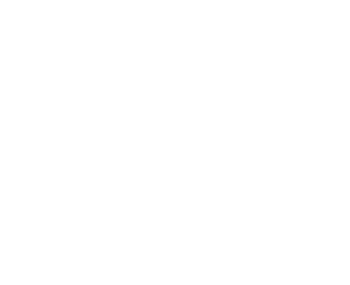 money icon